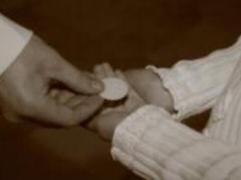 11679307338810496_200335504