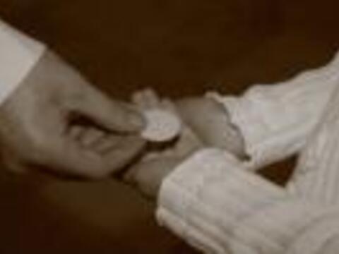 11679307338810496_150334661