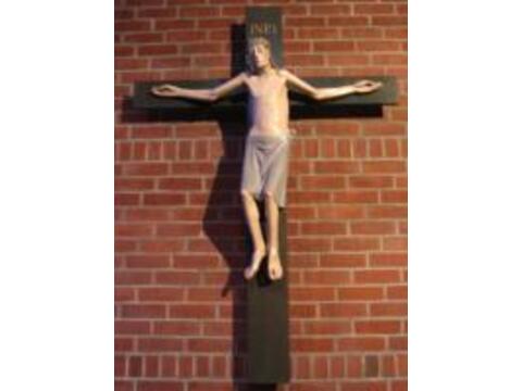 11678328685610429_150336683